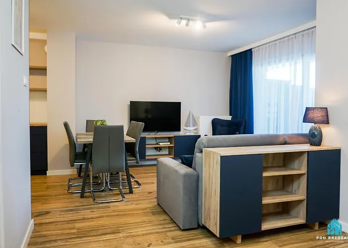 Pod Brzozami Apartamenty Villa Solny