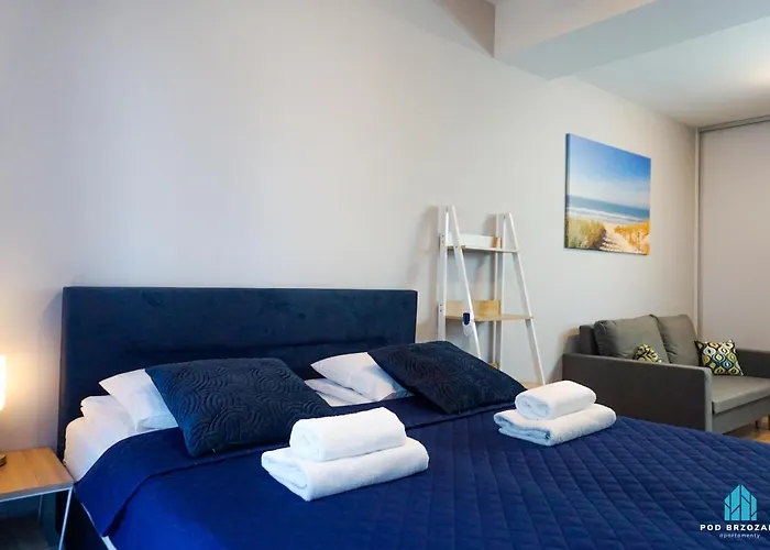 Pod Brzozami Apartamenty Villa Solny