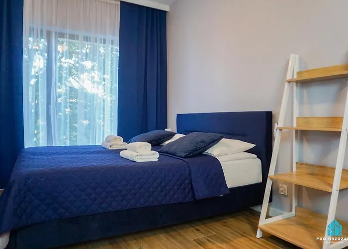 Pod Brzozami Apartamenty Villa Solny
